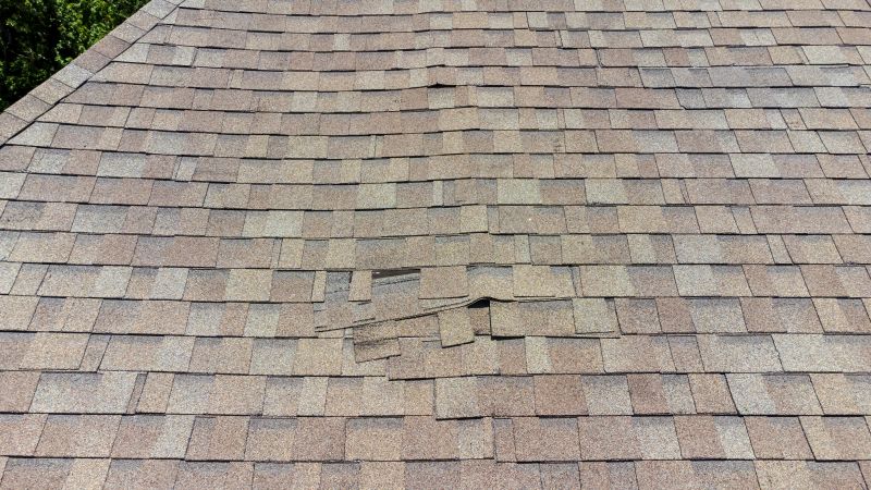 Asphalt Roof Inspection in Clark County, OH