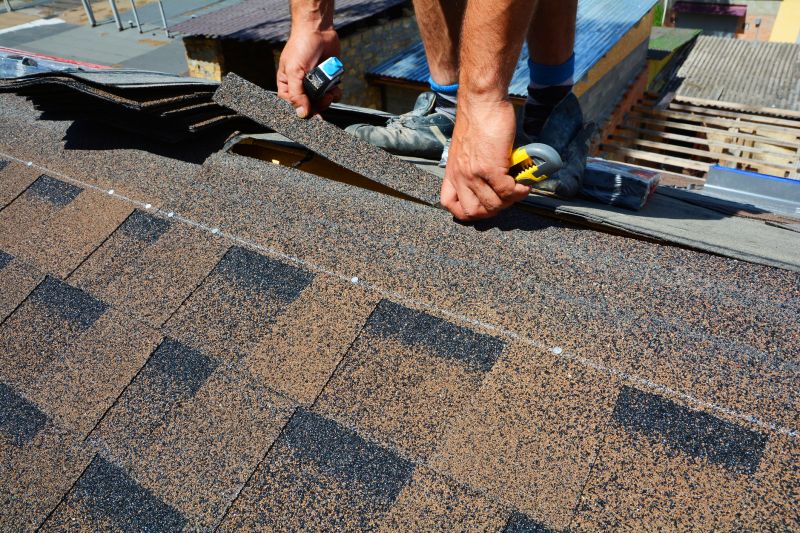 Asphalt Roof Repair in Greene County, OH