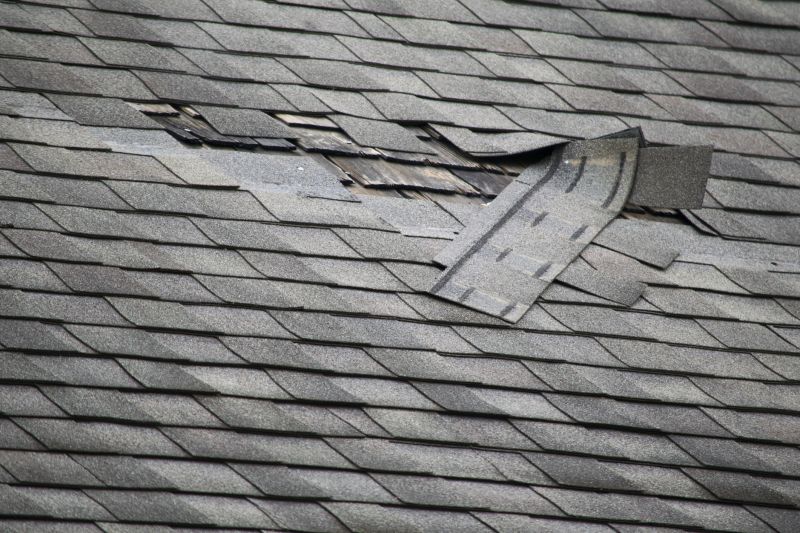 Asphalt Roof Repair in Xenia, OH