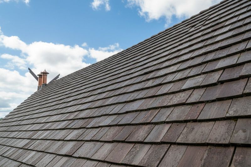 Cedar Roof Replacement in Springfield, OH