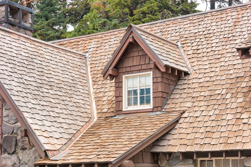 Cedar Shake Roof Repair in South Solon, OH