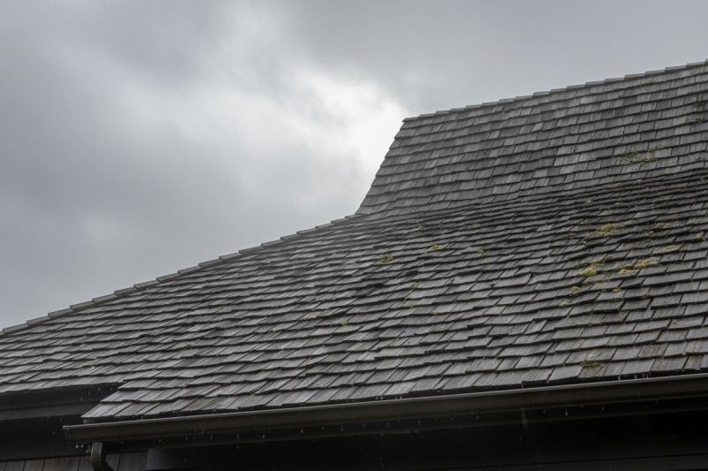 Cedar Shingles Replacement in Xenia, OH