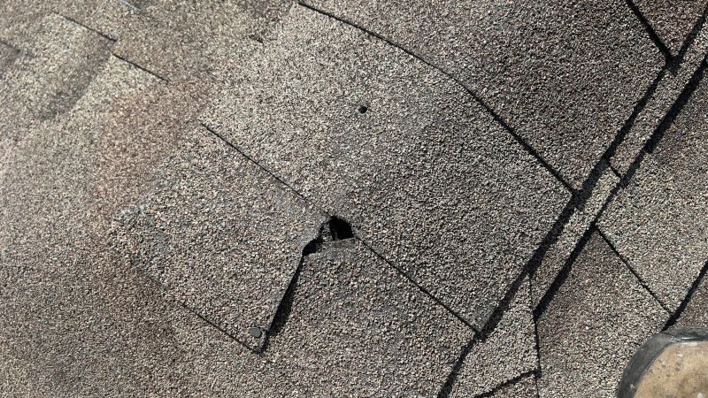 Damaged Roof Repair in Vandalia, OH