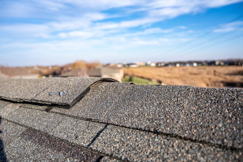 Damaged Roof Repair in Wilmington, OH