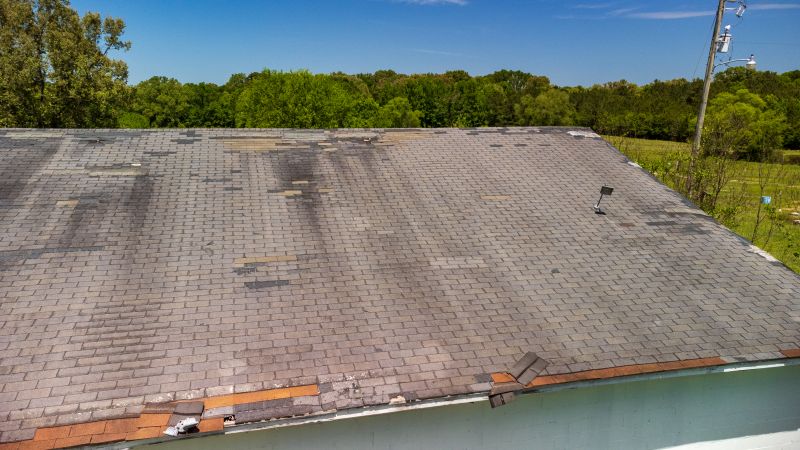 Hail Damage Roof Repair in Xenia, OH