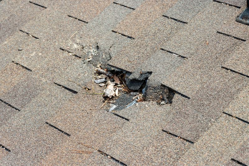 Leaky Roof Replacement in Xenia, OH