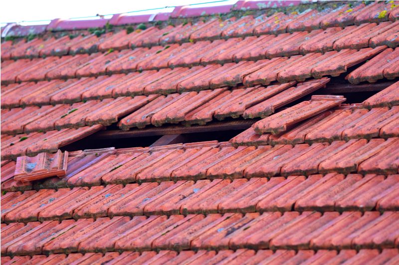 Roof Damage Inspection in Springfield, OH
