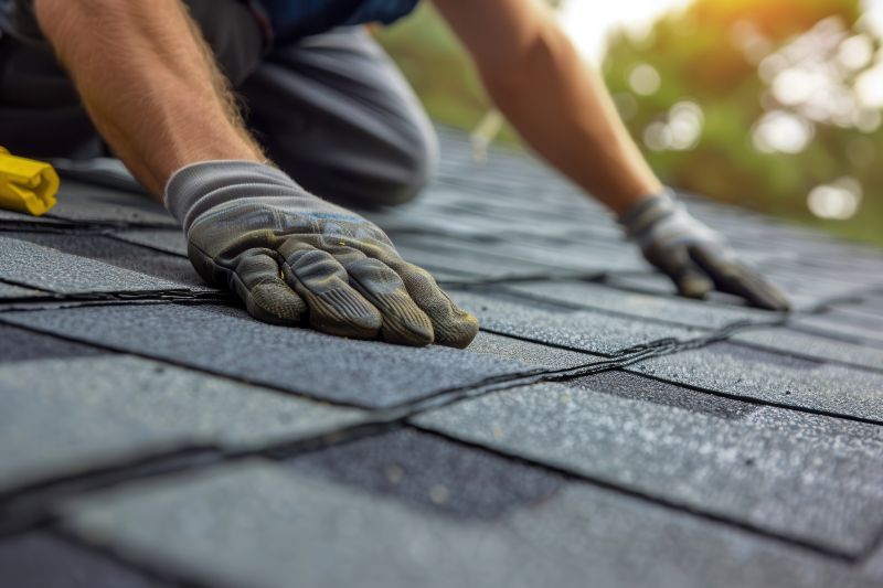 Shingles Repair in Clark County, OH