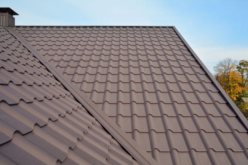 Tin Roof Installation in Xenia, OH