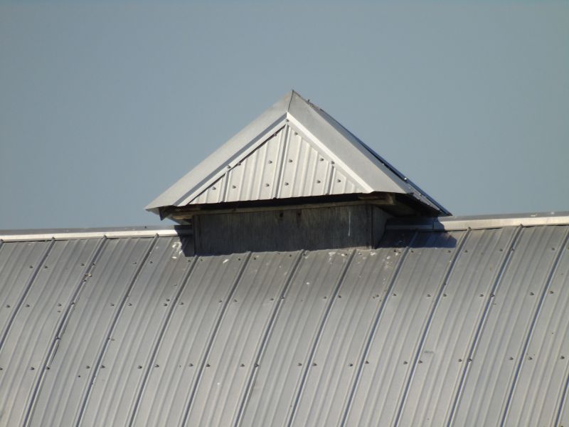 Tin Roof Installation in Morrow, OH