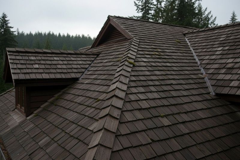 Wood Shake Roof Replacement in Yellow Springs, OH